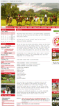 Mobile Screenshot of hongkongponyclub.com